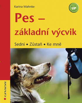 Pes – základní výcvik