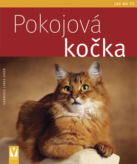 Pokojová kočka - Jak na to