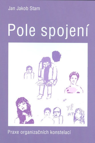 Pole spojení - Praxe organizačních konstelací