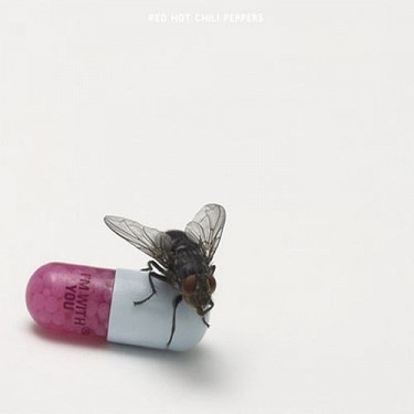 Red Hot Chili Peppers - I'm With You   CD