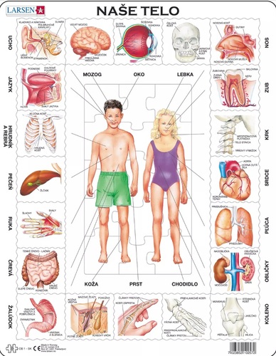 Puzzle Naše telo Larsen OB1-SK