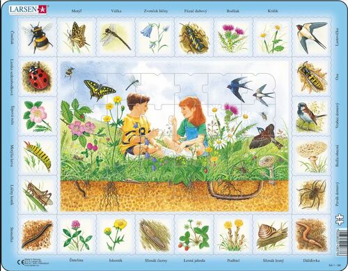 Puzzle Lúka Larsen NA1-SK