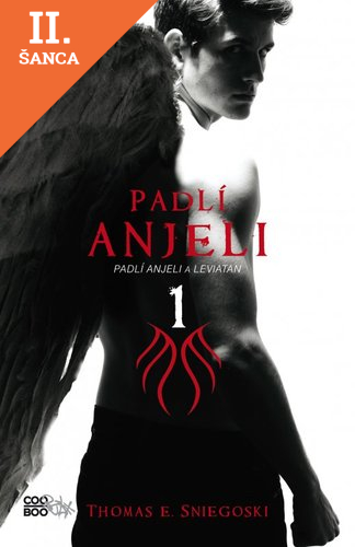 Lacná kniha Padlí anjeli 1