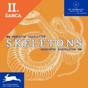 Lacná kniha Skeletons