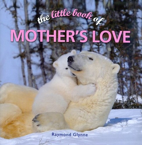 The Little Book of Mothers Love