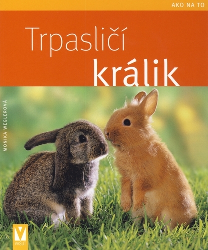 Trpasličí králik Ako na to