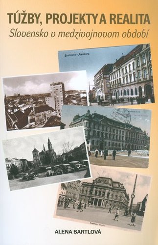Túžby, projekty a realita