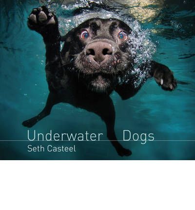 Underwater Dogs