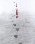 Z mesta von - Out of the City
