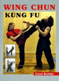 Wing Chun Kung fu