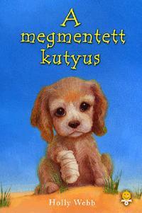 A megmentett kutyus