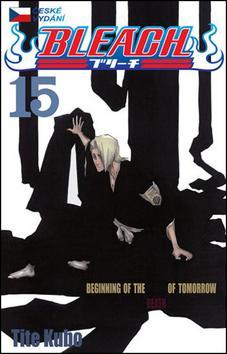 Kniha Bleach 15
