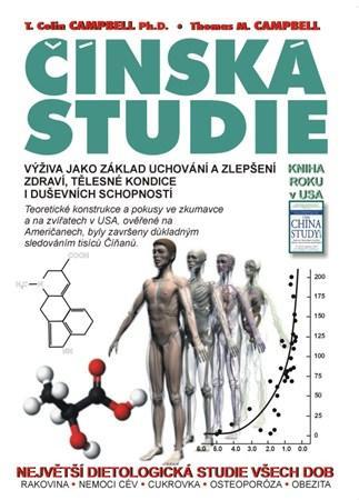 Čínská studie