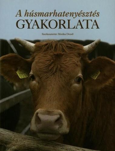 A húsmarhatenyésztés gyakorlata