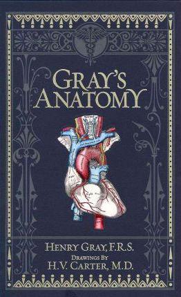 Gray's Anatomy
