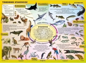 Kniha Triedenie stavovcov - tabuľka A4