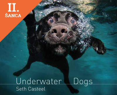 Lacná kniha Underwater Dogs
