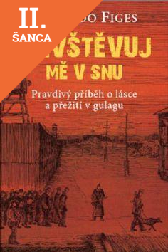 Lacná kniha Navštěvuj mě v snu