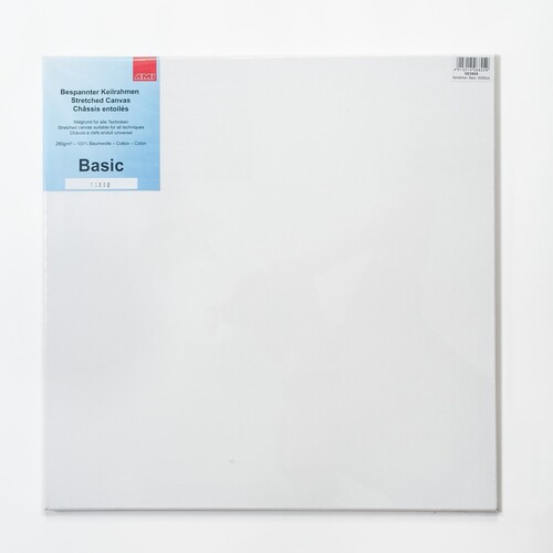 AMI plátno v ráme 50x50 cm