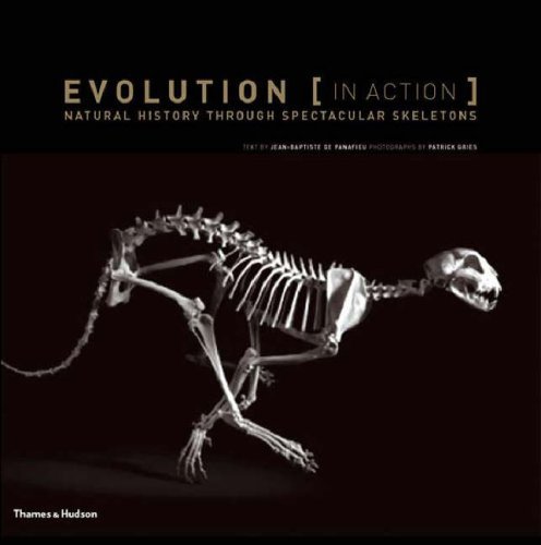 Evolution In Action