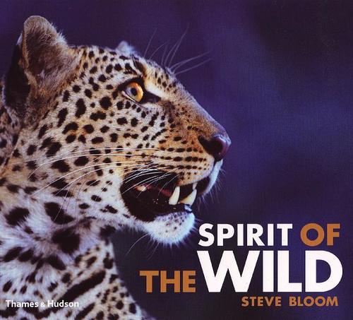 Spirit Of The Wild