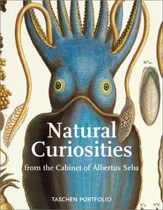 Natural Curiosities Portfolio