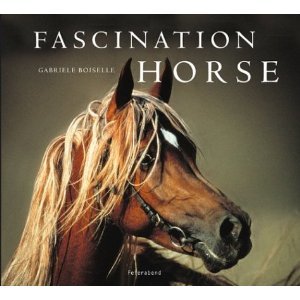 Fascination Horse