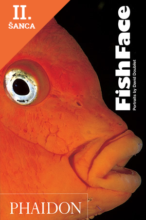 Lacná kniha Fish Face Phaidon