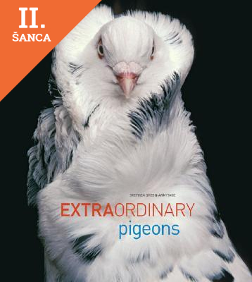 Lacná kniha Extraordinary Pigeons