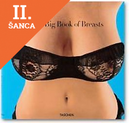 Lacná kniha Big Book of Breasts