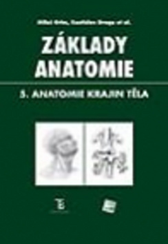 Základy anatomie