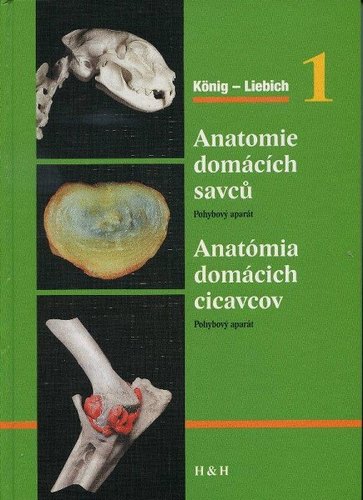 Anatomie domácich savců 1+2