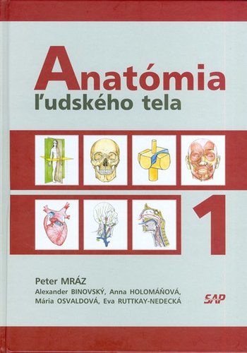 Anatómia ľudského tela 1