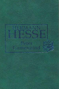 Peter Camenzind