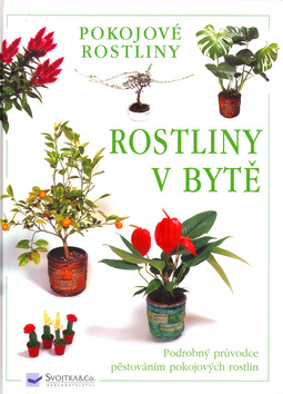 Rostiny v bytě