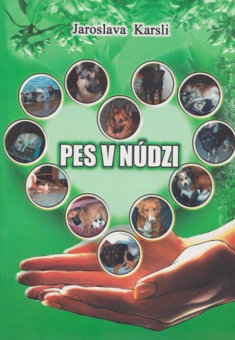 Pes v núdzi