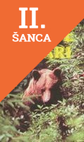 Lacná kniha Kruté safari