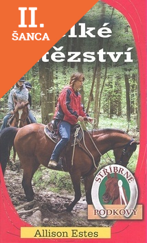 Lacná kniha Velké vítězství