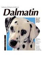 Dalmatin - výběr,držení,výchova