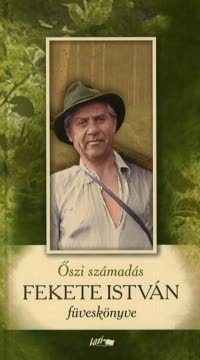 Őszi számadás