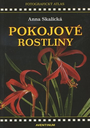 Kniha POKOJOVE ROSTLINY FOTOGRAF ATL