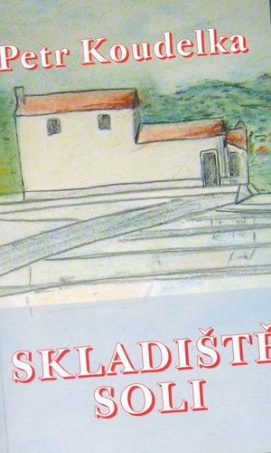 Skladište soli