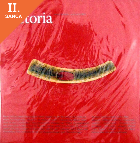 Lacná kniha Pictoria (nemecký jazyk)