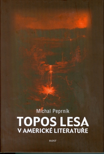 Topos lesa