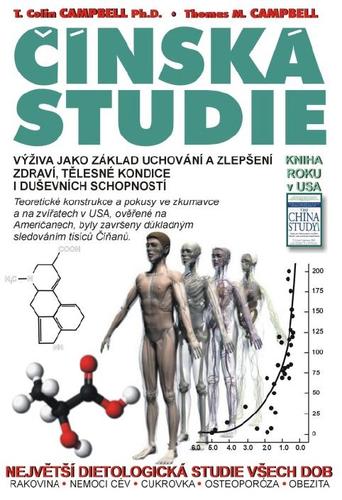Čínská studie