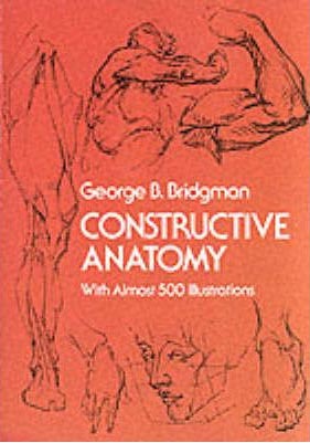Constructive anatomy