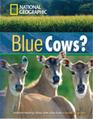 Blue Cows + CD
