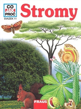 Stromy-Co jak proč