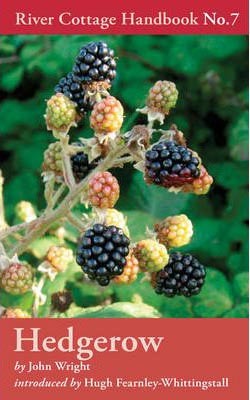 Hedgerow River Cottage 7