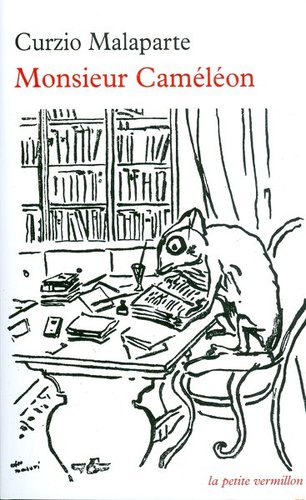 Monsieur Caméléon